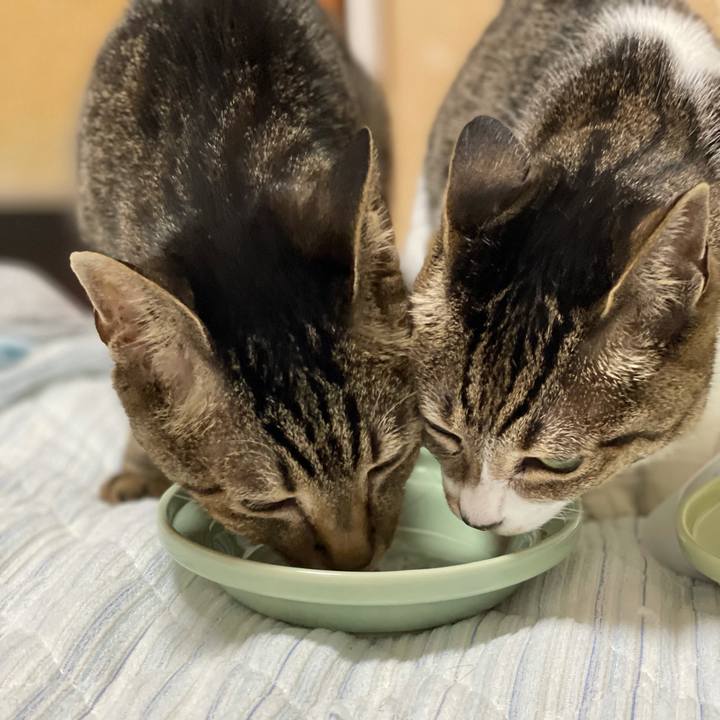 Ae665bb7 f6b5 42d0 90f2 48aa0fca1bde 1621551565965