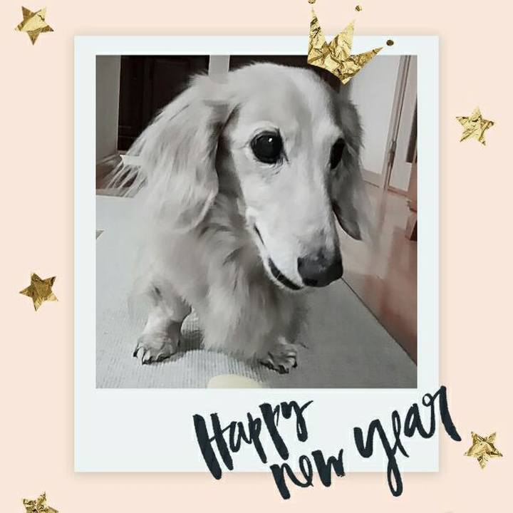 Ae665cf4 e3a2 4587 b109 b9472bfca5f4 1546317586314