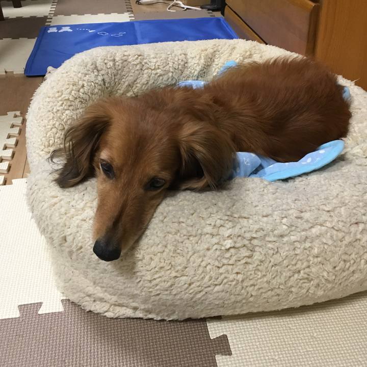 Ae669833 73b3 40cb 9a3d 64e6755246fa 1559828669485