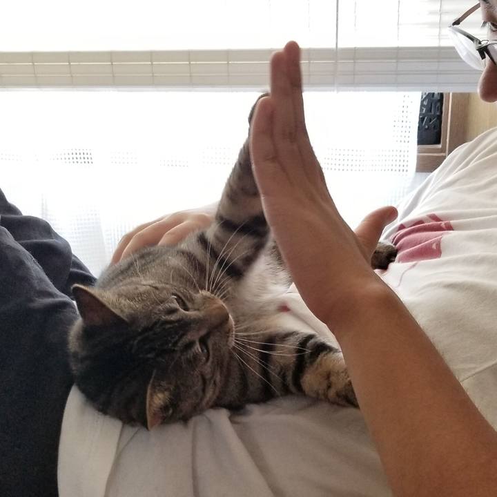 Ae66a8cc 5398 4393 9fdb febc76d0b8c4 1690619452451