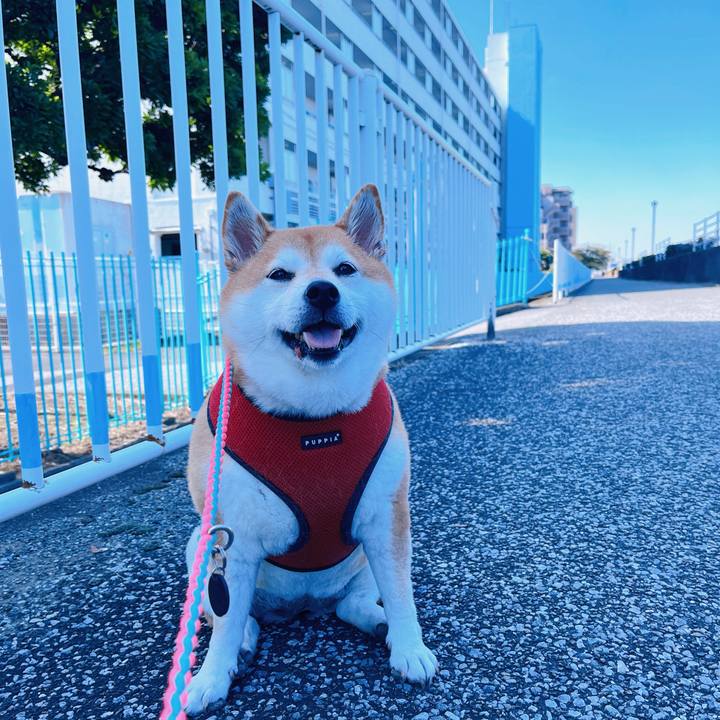 Ae66aa0c 846c 4edc 83d2 9bdc94ba6857 1698111599662