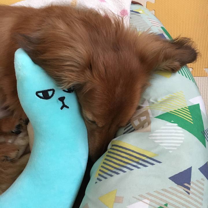 Ae66afb7 bdb4 4615 be83 10ddbd734e44 1591707754849