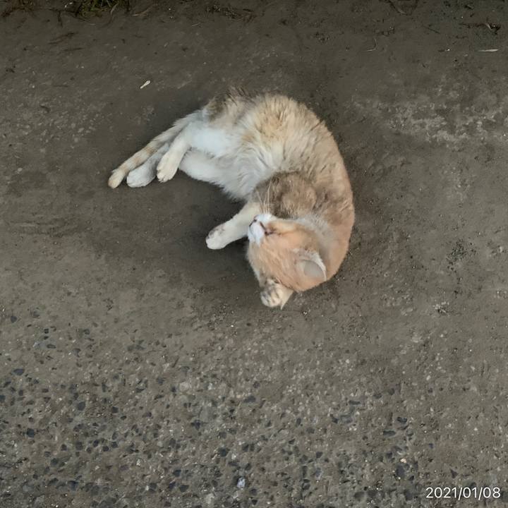 Ae66bf33 b820 4d7e aec2 2af59a97557d 1610069277308