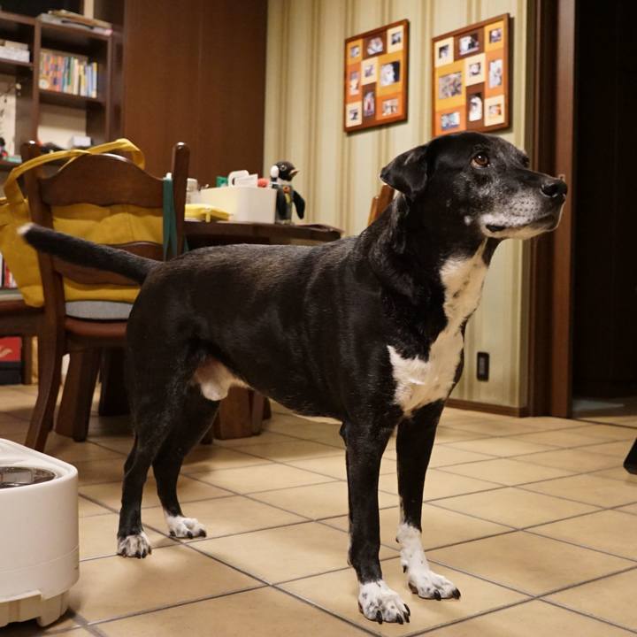 Ae66d681 7d22 4f32 9283 454bdd636be6 1773918129118