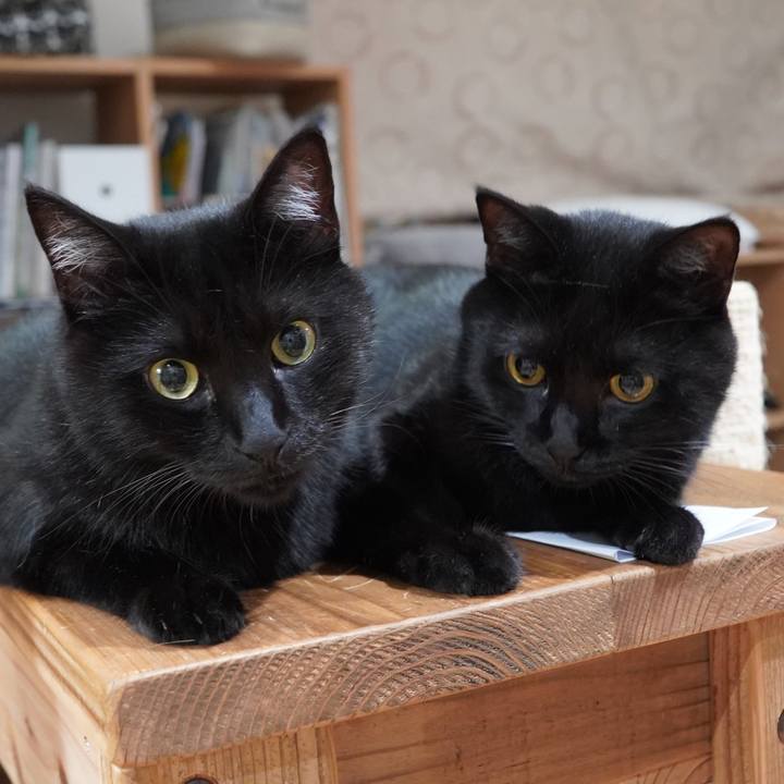 Ae670de7 4c75 480c bd09 25f7aeec28db 1599278947273