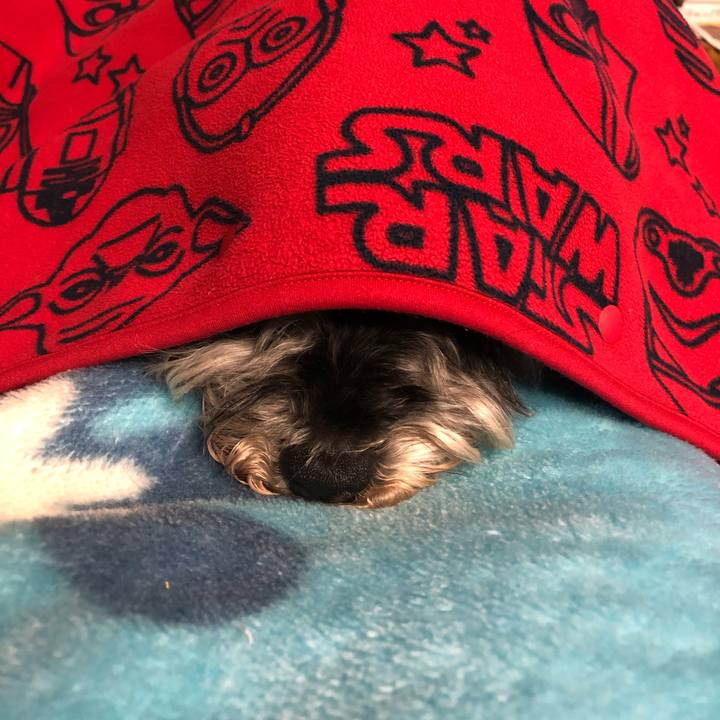 Ae67100d dbf2 48d1 91a5 1b5aa854f008 1650464020438