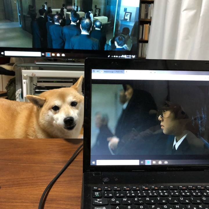 Ae6718c9 6510 4ccd 88c9 25960b335da0 1548331085575