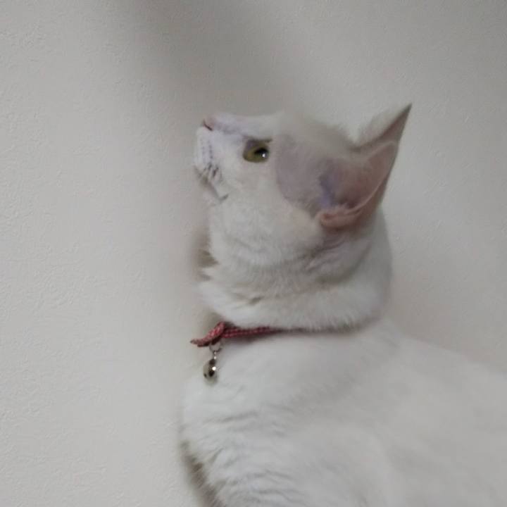 Ae671cea 3fcc 4d3d bdd0 5de916c57807 1625093349189