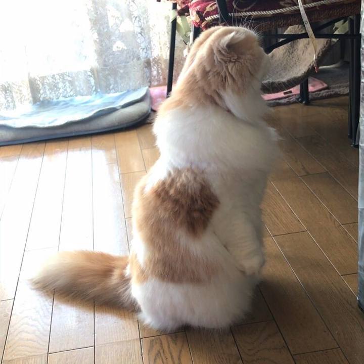 Ae6720b8 59c7 44fb 97fe 4c55c908c135 1542001690388