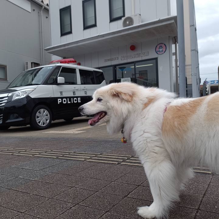 Ae67311f ccd9 4f6a 9723 2ea3950da408 1682815845134