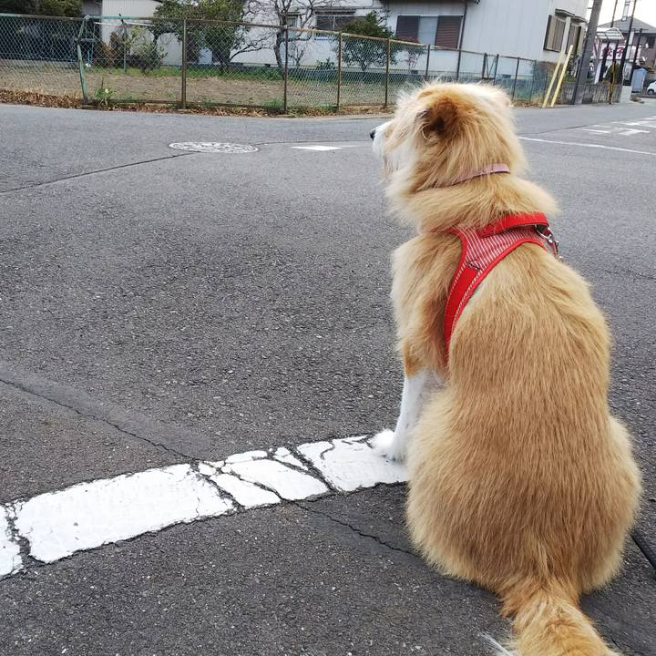 Ae673479 e6ff 406c aad9 f53e74c91f3c 1518825469261