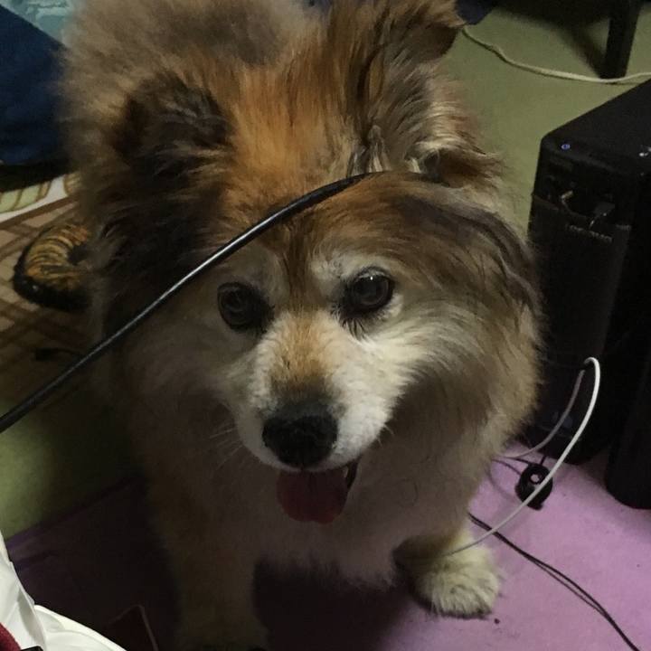 Ae674079 14c2 423d ba0d 13b32325f541 1611271892098