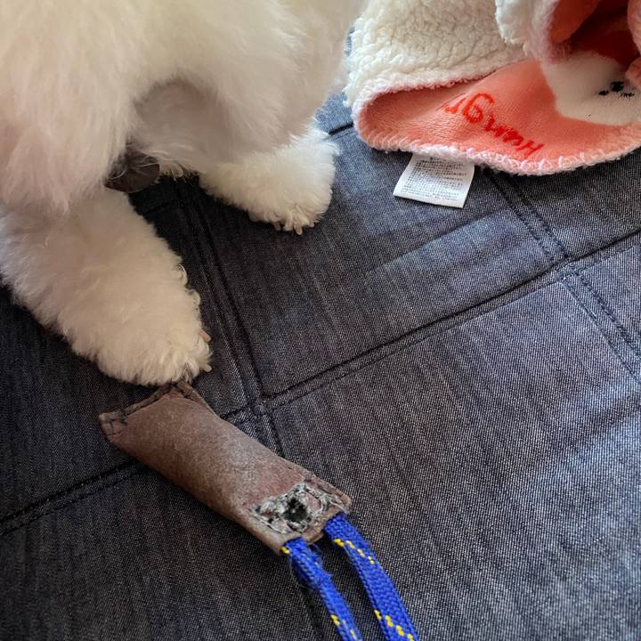 Ae677ca3 3e2e 4107 a676 65149d1eb108 1620024155430