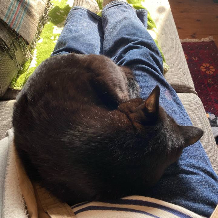 Ae677da6 396f 4855 8cca bea3f42f21b2 1610254284092