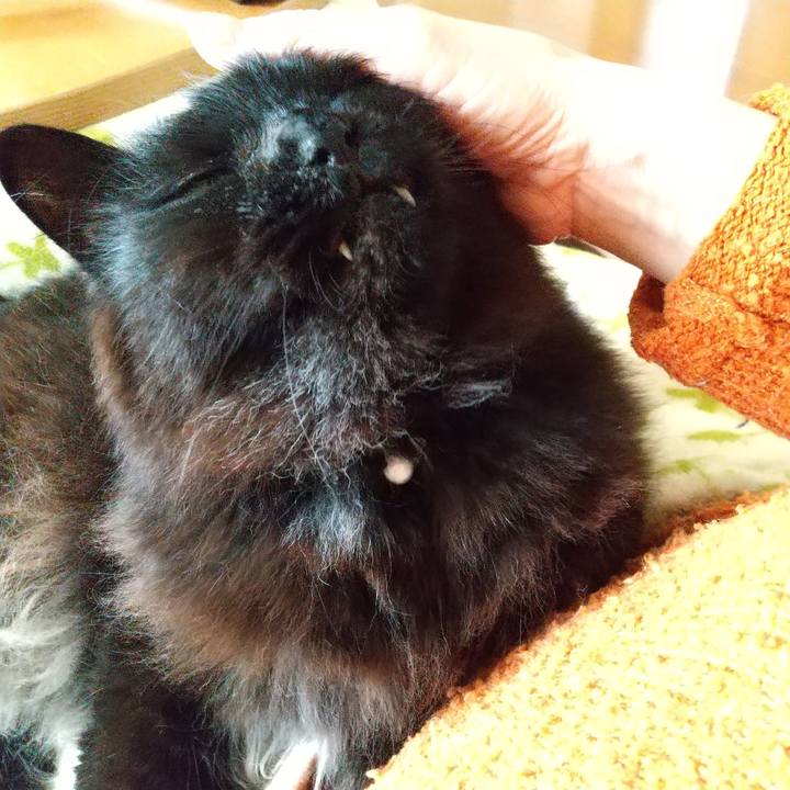 Ae6788b9 4592 4235 9662 28b38258d12b 1587447031371