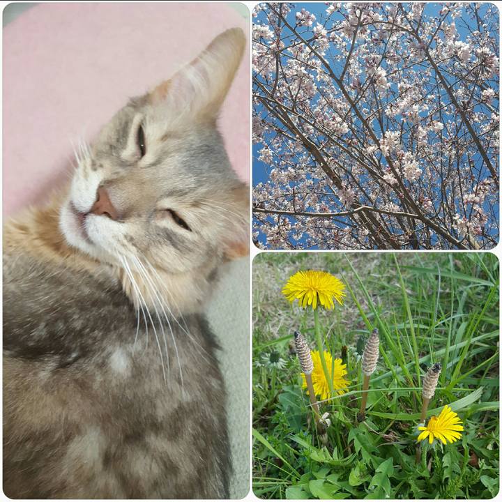 Ae67c41e 9a59 4716 892a 13f6a68eef57 1553420272350