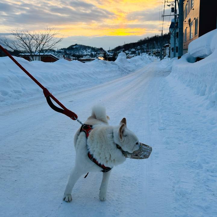 Ae6825a6 dbd1 4848 b885 f1e38943e7ae 1707517248805