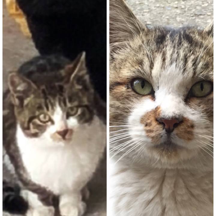 Ae684eac 3a73 48dd b570 86ac2db4a2b3 1519470299571