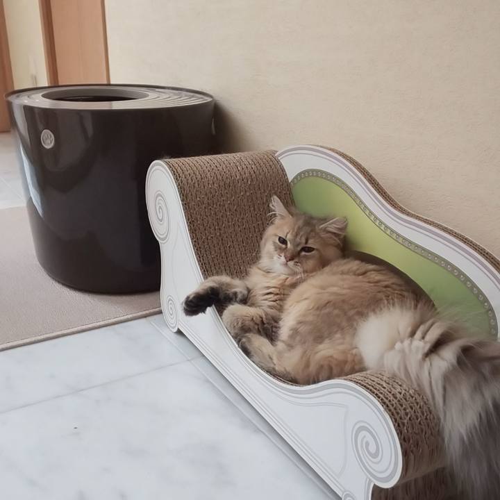 Ae68597b 9a6b 4d43 943a 7fe8e8913b4f 1563268173543