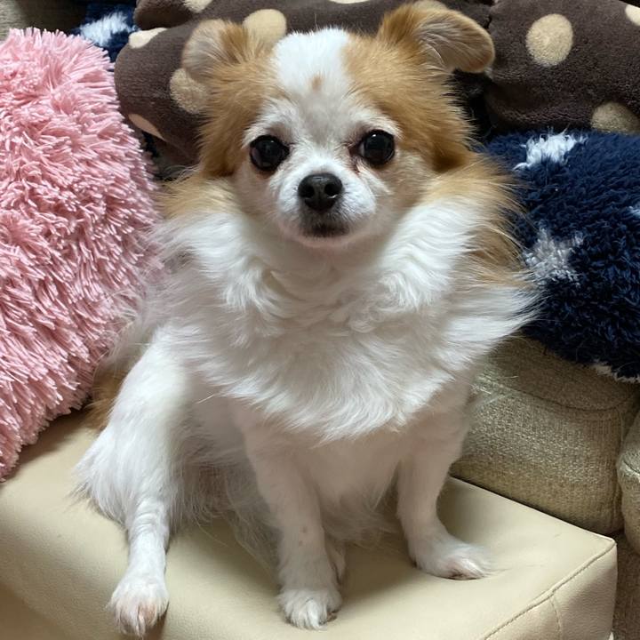 Ae68bb79 a1dc 4742 b04e 3a2edc05e4f2 1577422237671