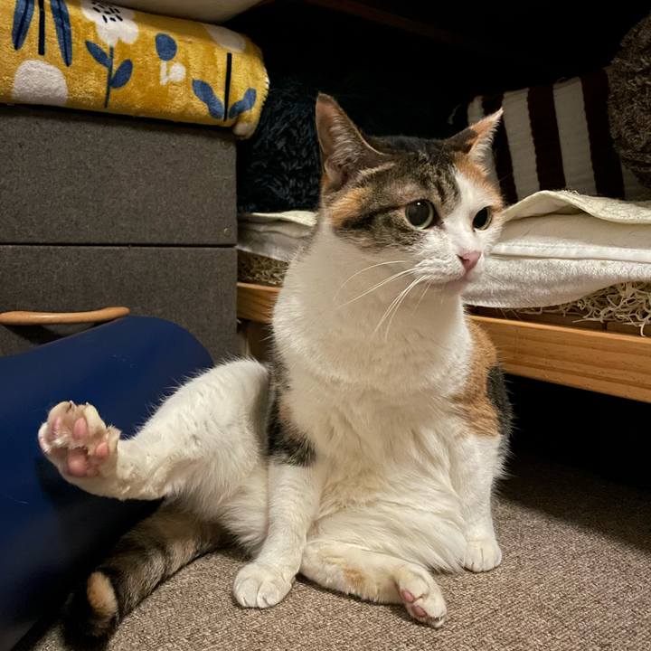 Ae68f4a4 ee94 4fec 956c b9d1ce6b3a89 1747968915465