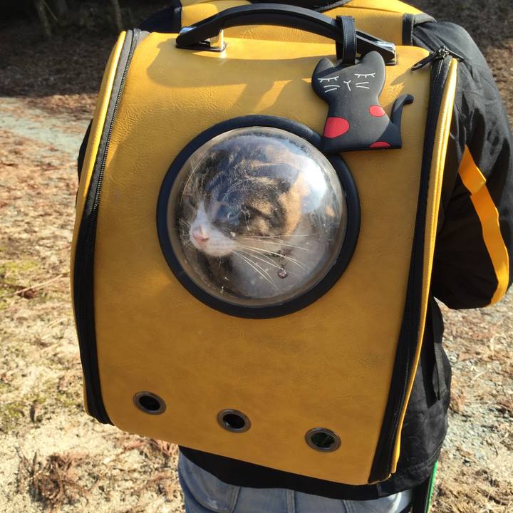 Ae690d4c 12e6 4dd6 a0dd 129109d7c095 1519632175118