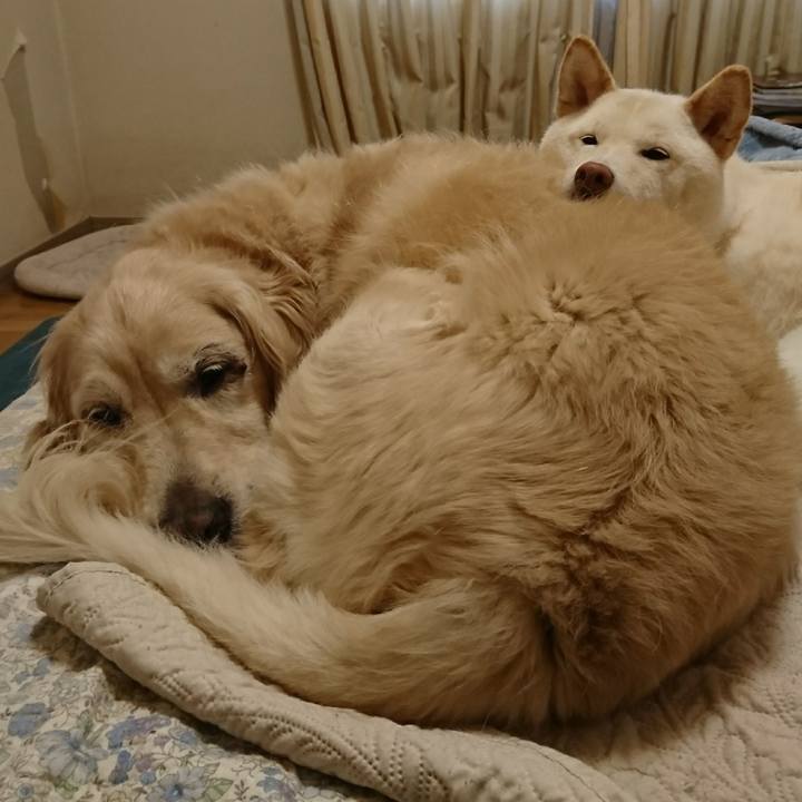 Ae691624 fc24 4149 a038 0a24856ff7a7 1549080076755