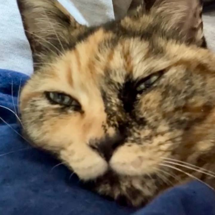 Ae69236f 41c4 4808 9fb0 1246ce7472da 1733717317976