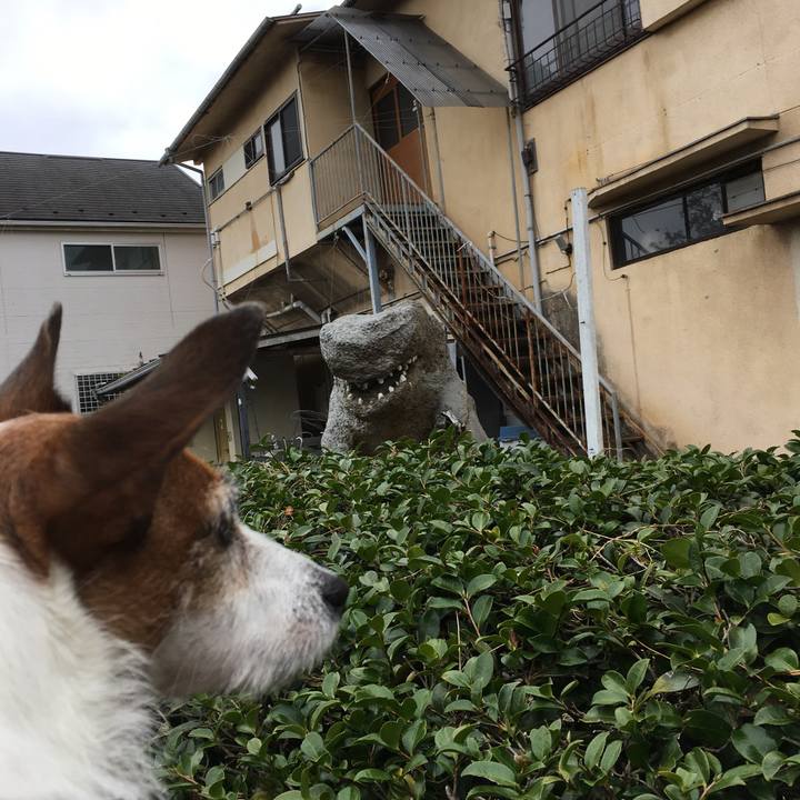 Ae693316 ce38 4569 9ce5 086c15893379 1586817288761