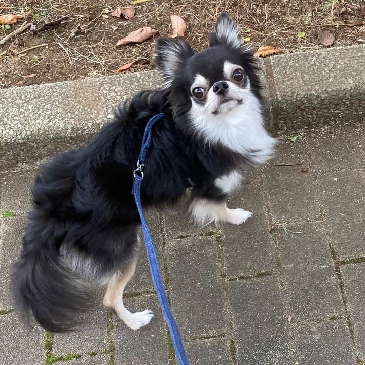 Ae694cb6 15fa 4779 8a8e 23e0d981e95f 1664462190708