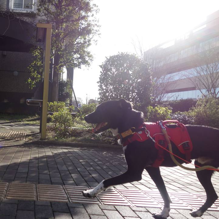 Ae697ba5 4e78 4690 8719 575c43bfec1e 1583886134872