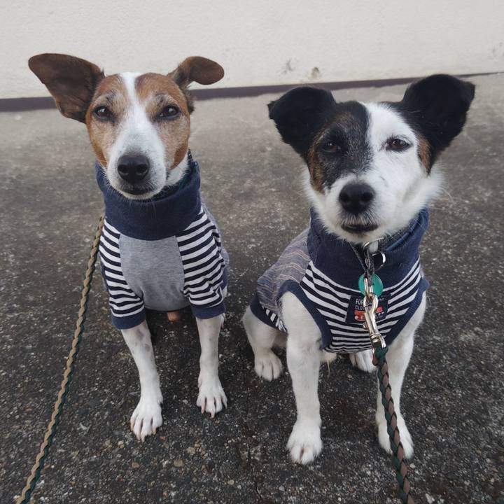 Ae69a8a2 2b9b 499f 876c f7f17a1067e5 1759010659882