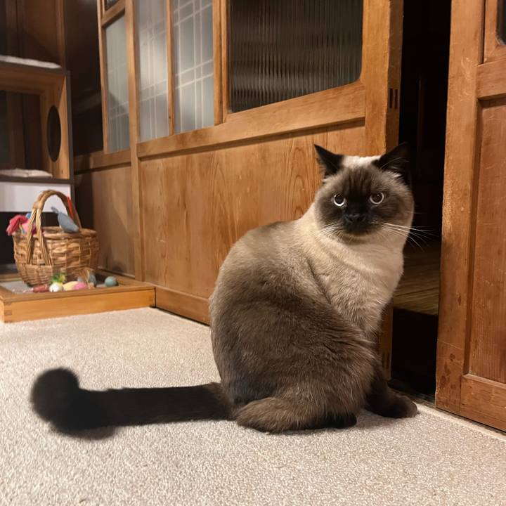 Ae69ac71 5c6a 4abf a1cb 9bea176cf73a 1636188436072