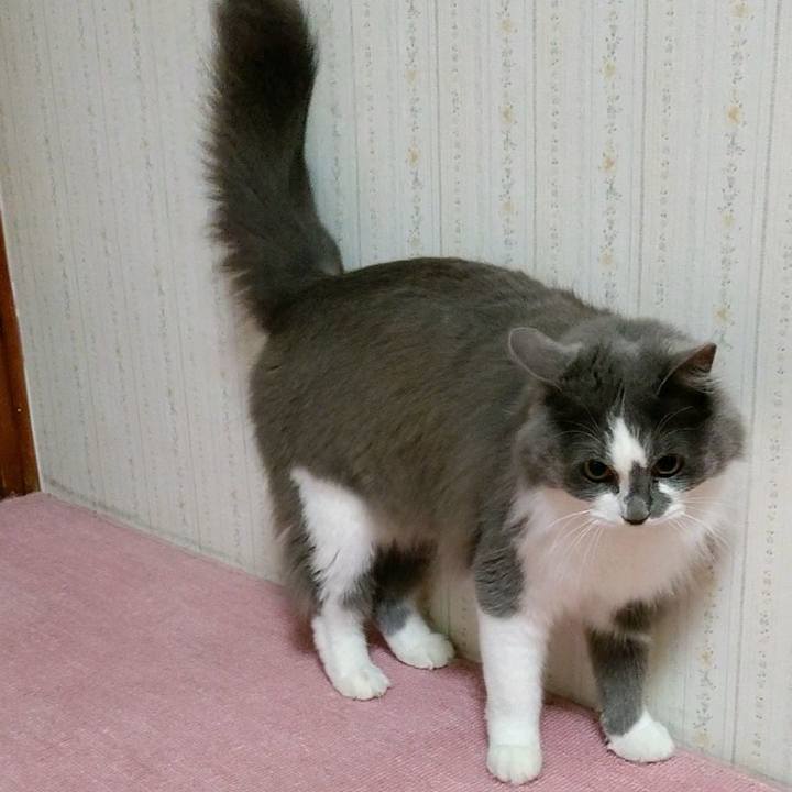 Ae69c316 91f5 44da bc5b c8770629d7bd 1583838049973