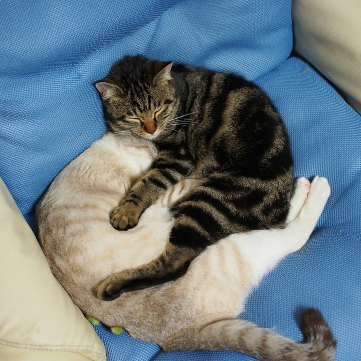 Ae69c5f2 86fd 4684 b951 ef04fe043613 1516196752188