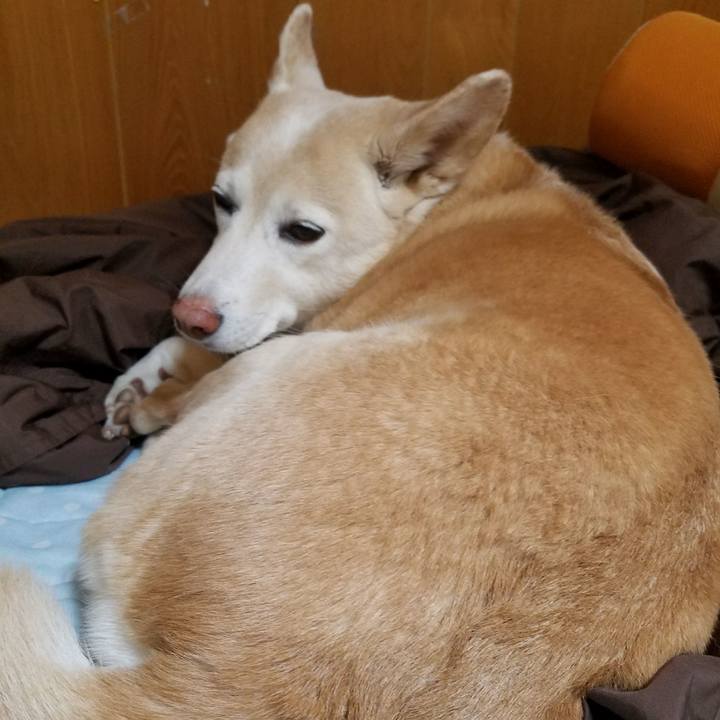 Ae69e195 0be6 4fbf b9df 1bd943b87828 1526140025822