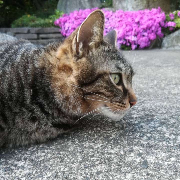 Ae69e920 e2a0 4757 a858 aca8401a4b7e 1587546700931