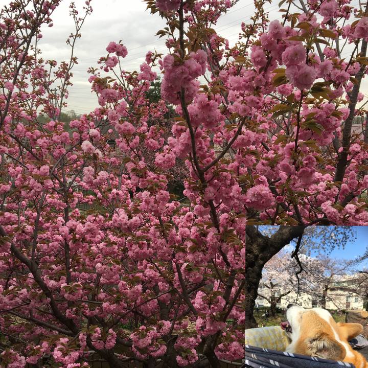 Ae69f186 5e1d 4369 a0f9 47bc9a81c928 1554115508802