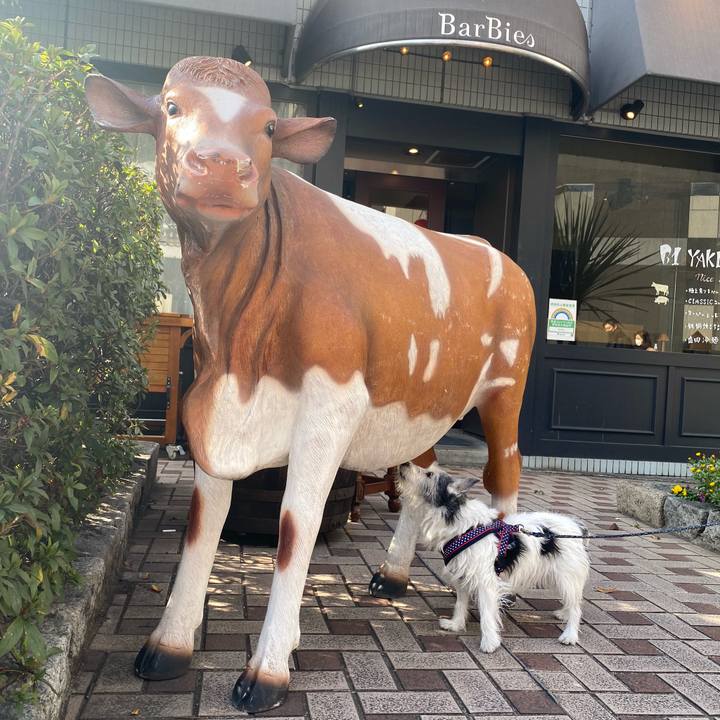 Ae6a2d62 a053 4d05 bf99 c34701503bde 1613215924984