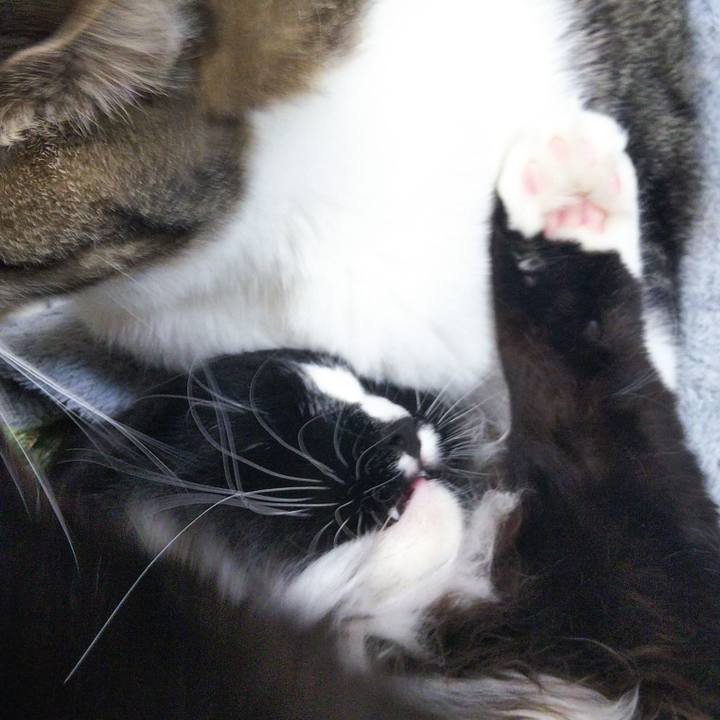 Ae6a5fe4 a52d 4eb4 b0cf e5d278a3f2d6 1654733571127