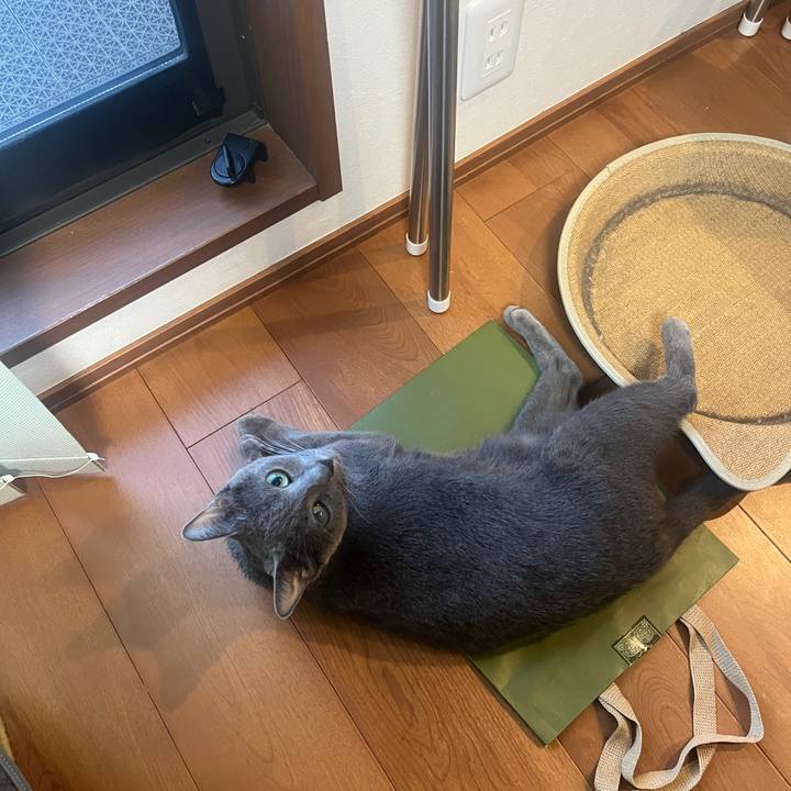 Ae6a6044 cf99 41c7 900c fb583f6174e8 1721548362624