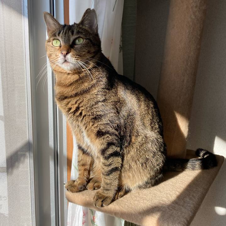 Ae6ab952 68af 4288 9e39 d3e44435ec12 1609458759060