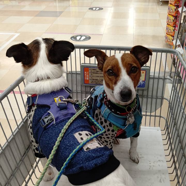 Ae6ad8b8 e683 4913 a1e6 5c0ea9160875 1647075217770