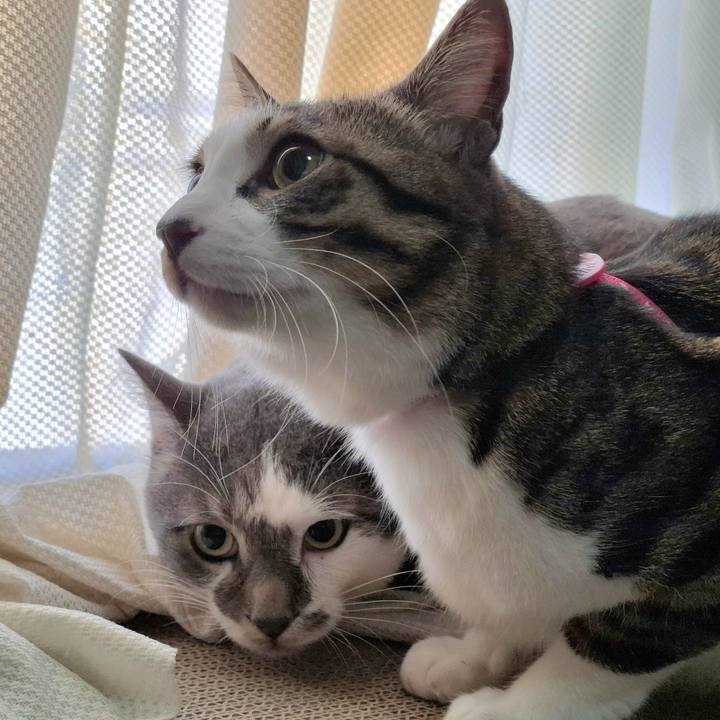 Ae6b0543 3d2a 44d6 bba7 9a313320f7b4 1768471722164