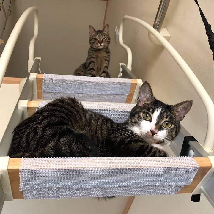 Ae6b8ab7 eb3a 4838 9771 8207b2e01af6 1519732449156