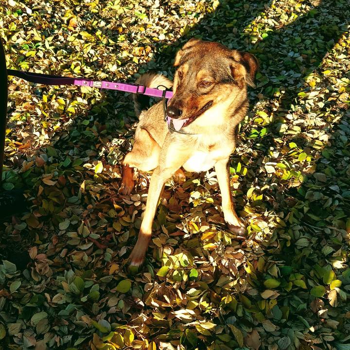 Ae6bc1f2 6fdf 46b2 a998 4063653c43c8 1701648887428