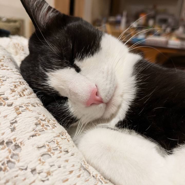 Ae6bc84d a4b8 49f2 af69 7ad83a1675d4 1767323395780