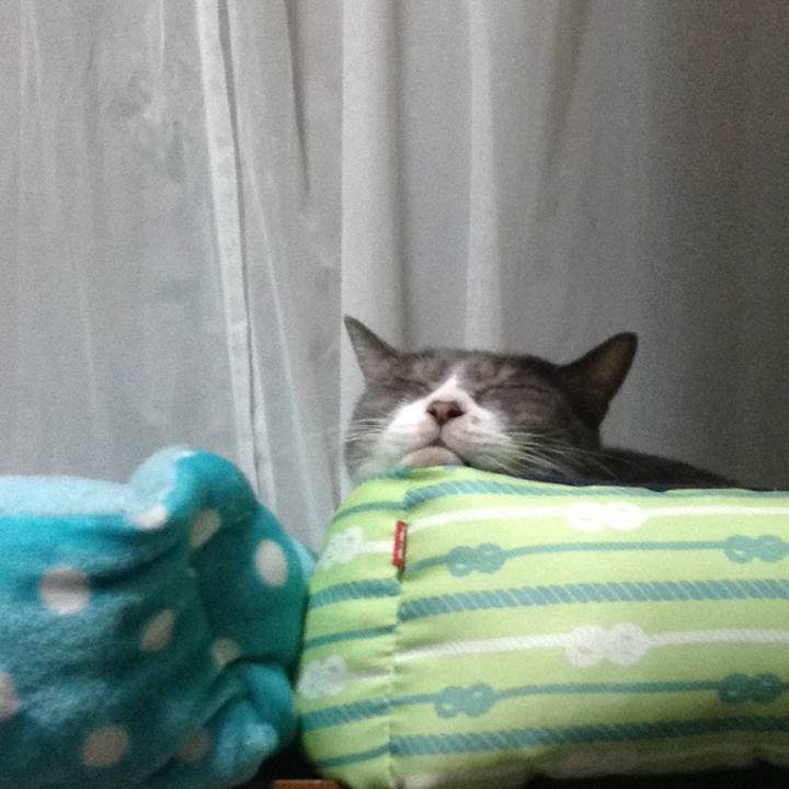 Ae6beeb2 70a4 4b2b a6aa 1c2dc1736df0 1538749945757