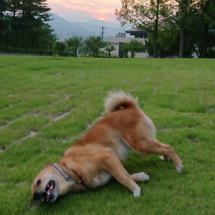 Ae6c35d8 08e2 45d9 b1e2 22ea65a402aa 1564913406864