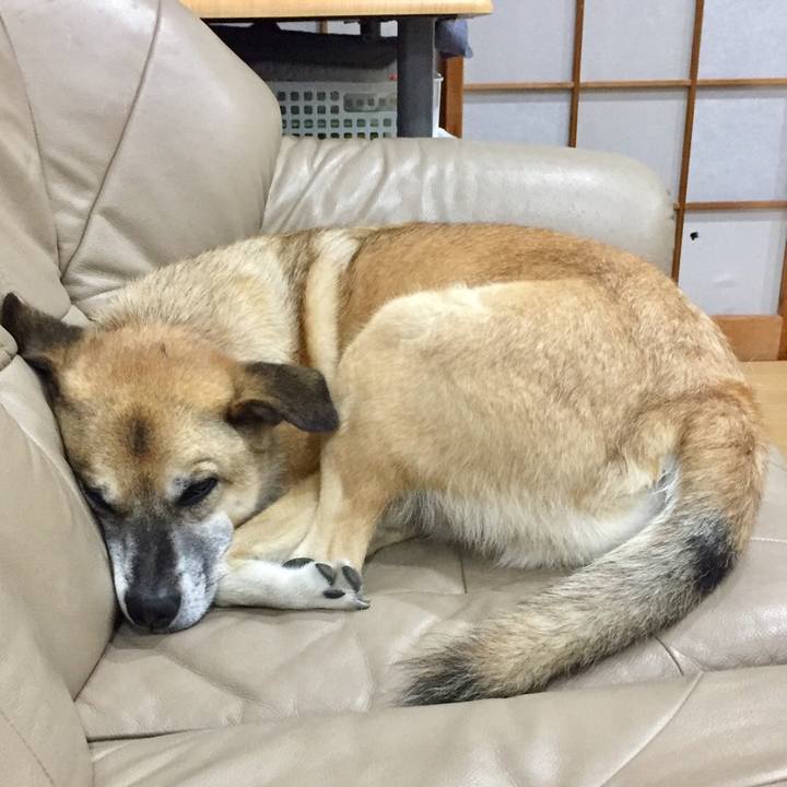 Ae6c48ff a5ef 402d aea0 4191ecb67200 1532558432713